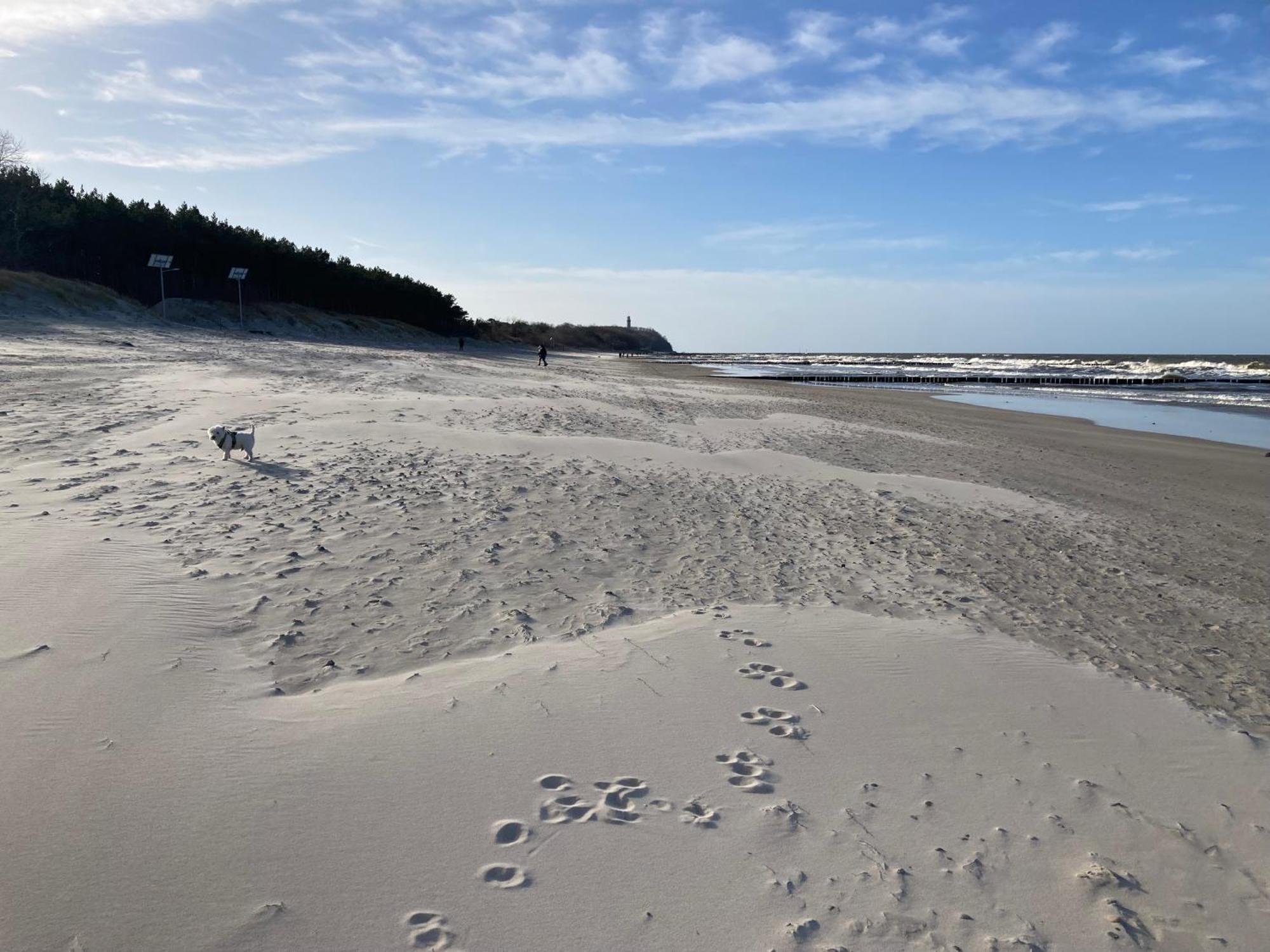E-baltic - Niechorze, Your Beachfront Apartments, Apartment